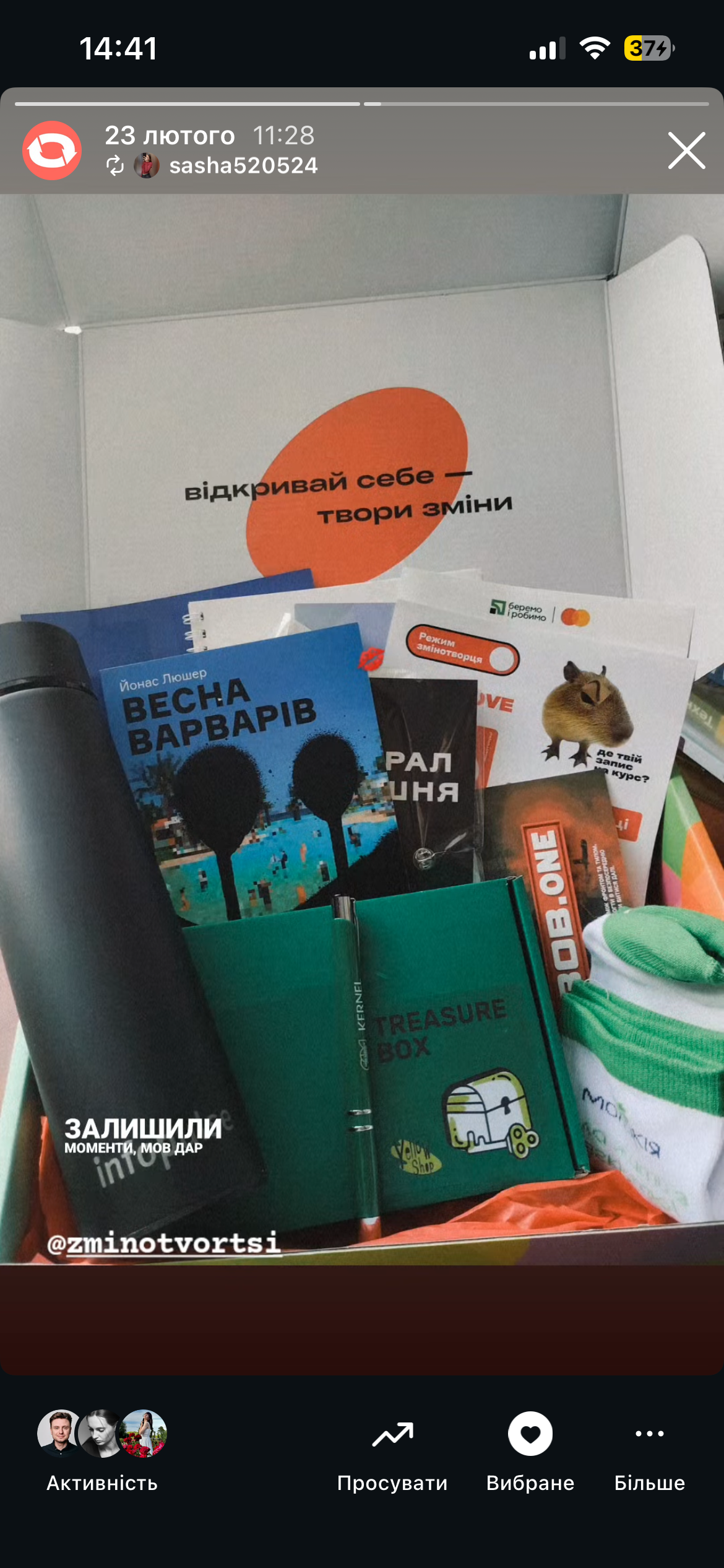 Zminotvortsi Box support story — 7